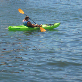 Photo of last years event